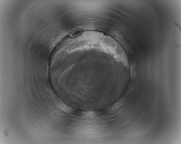 X0000100490301200806271243