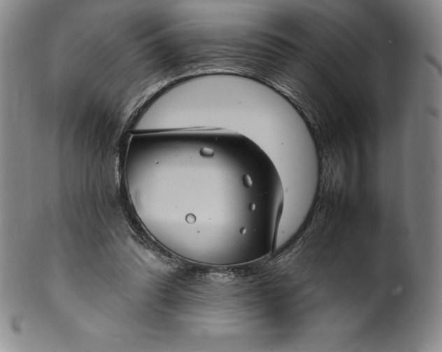 X0000100490302200806271243