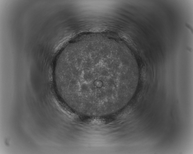 X0000100490303200806271243