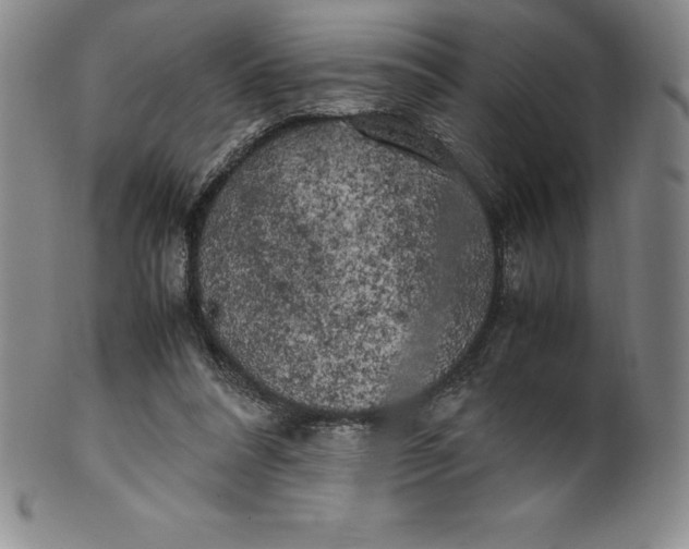 X0000100490304200806271243