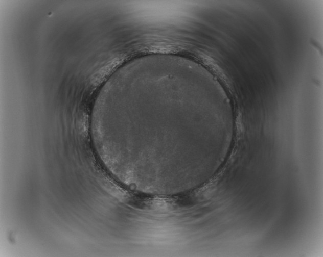 X0000100490305200806271243