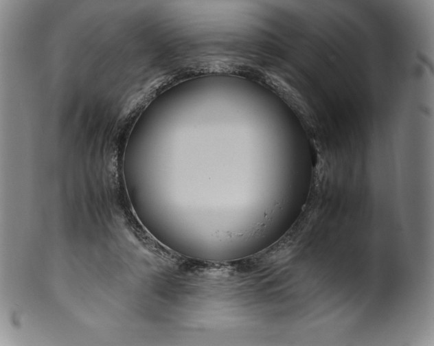 X0000100490306200806271243