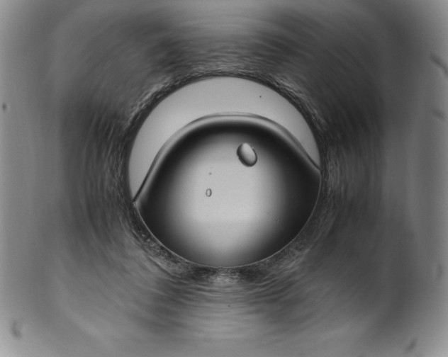 X0000100490308200806271243