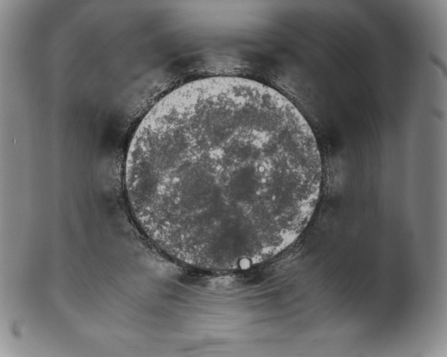 X0000100490309200806271243