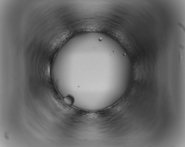 X0000100490310200806271243