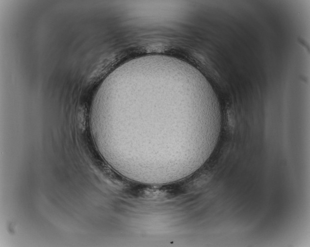 X0000100490311200806271243