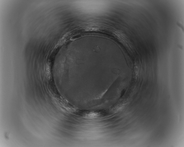 X0000100490312200806271243