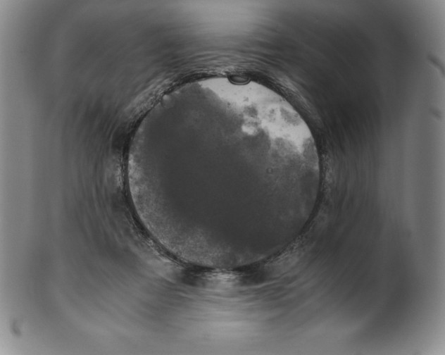 X0000100490313200806271243