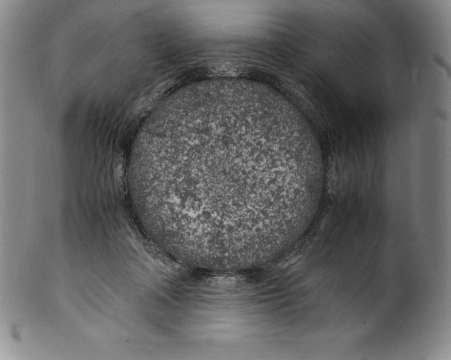 X0000100490314200806271243