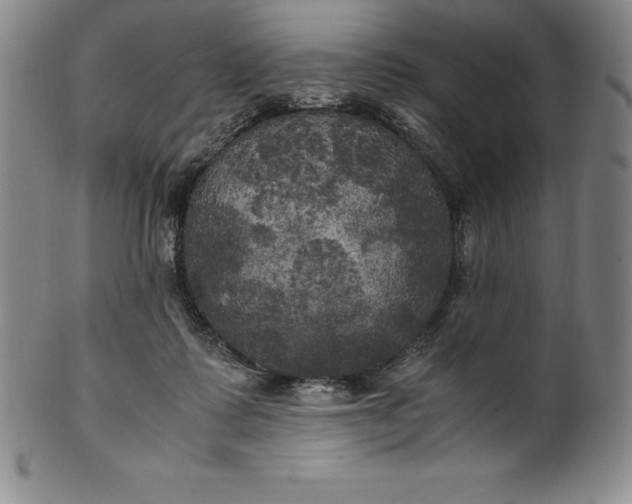 X0000100490315200806271243