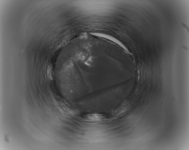 X0000100490316200806271243