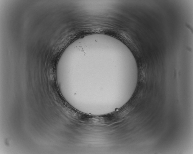 X0000100490317200806271243