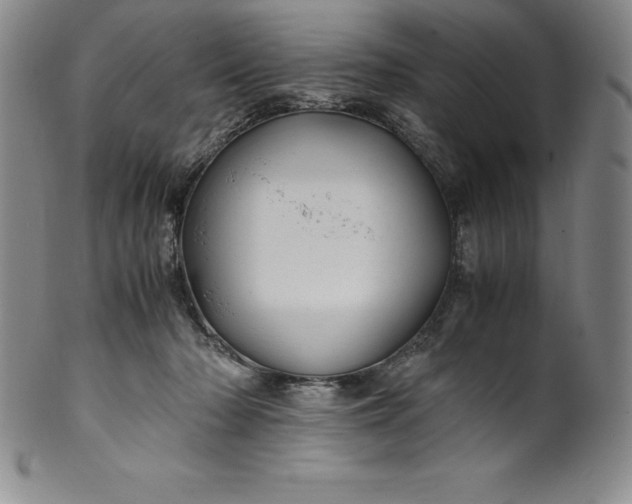 X0000100490318200806271243