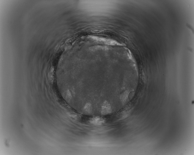 X0000100490319200806271243