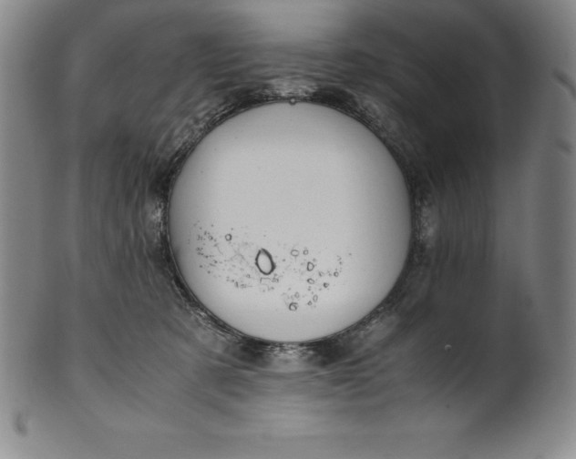 X0000100490321200806271243