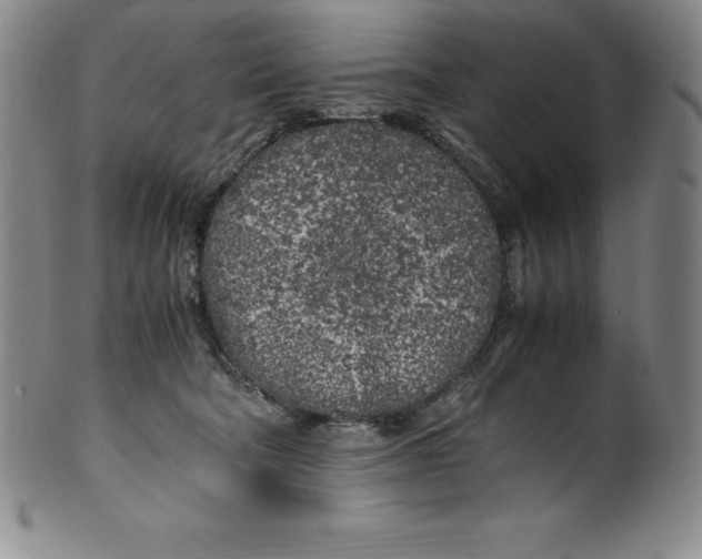 X0000100490322200806271243