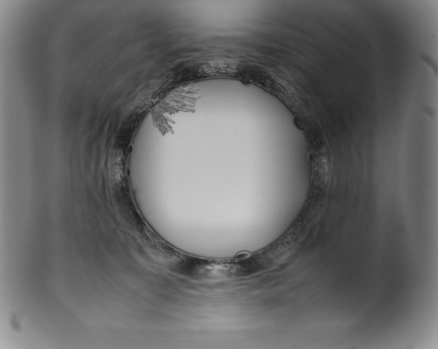 X0000100490323200806271243