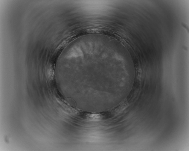 X0000100490324200806271243