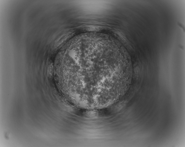 X0000100490325200806271243