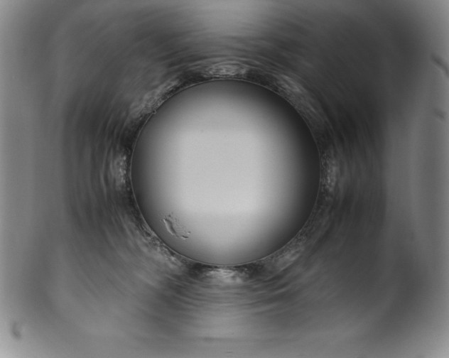 X0000100490326200806271243