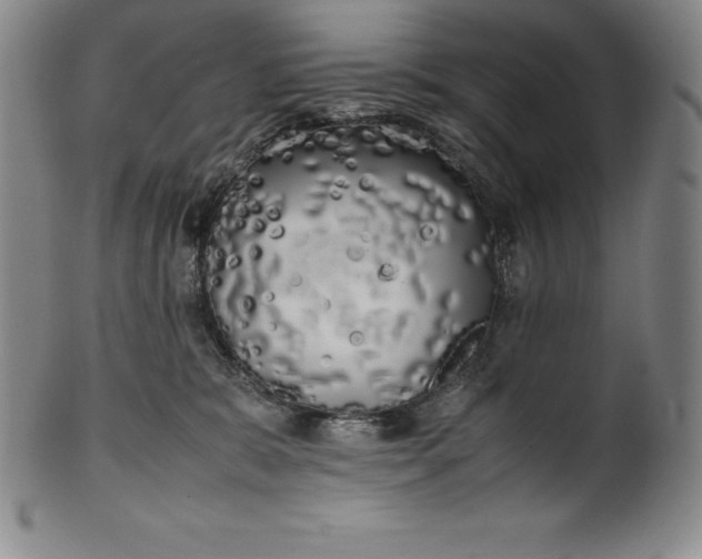 X0000100490327200806271243