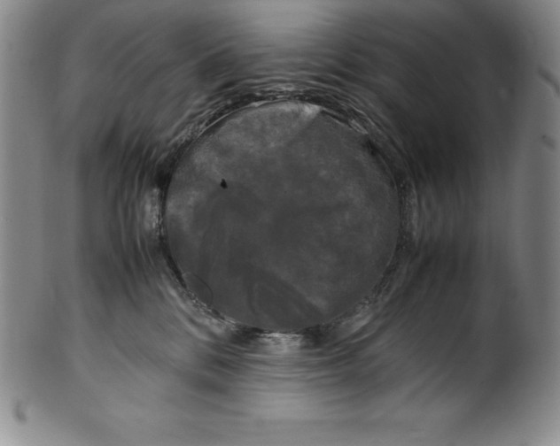 X0000100490328200806271243