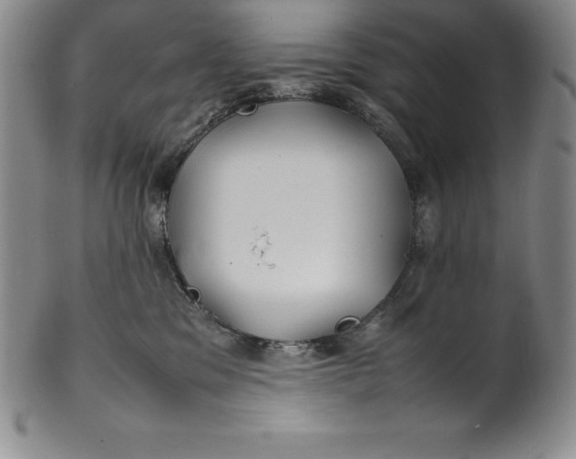 X0000100490329200806271243