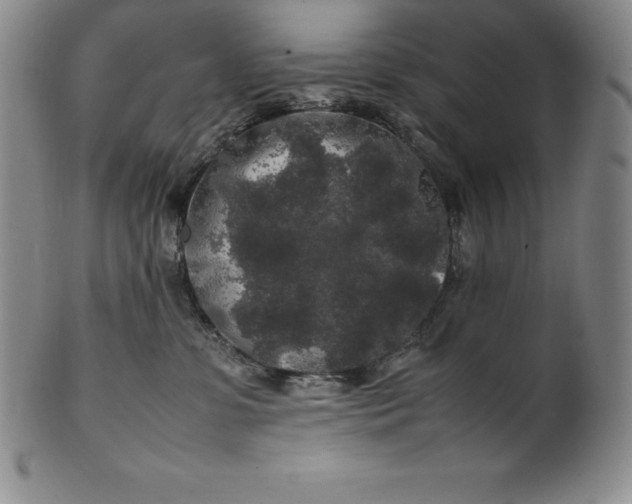 X0000100490331200806271242