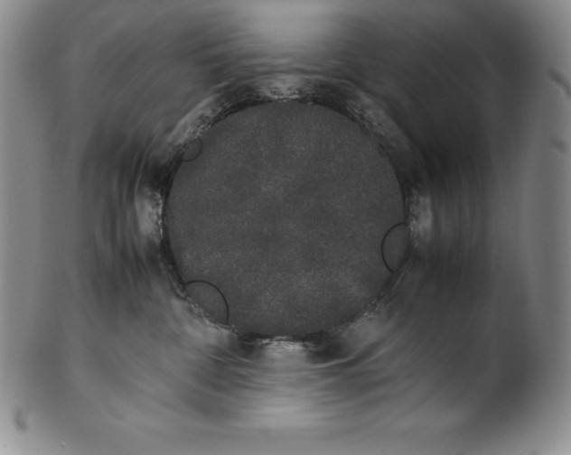 X0000100490332200806271242