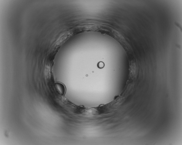 X0000100490333200806271242