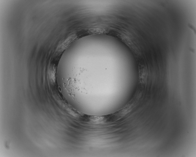 X0000100490334200806271242