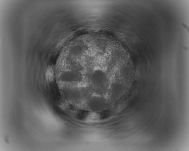 X0000100490335200806271242