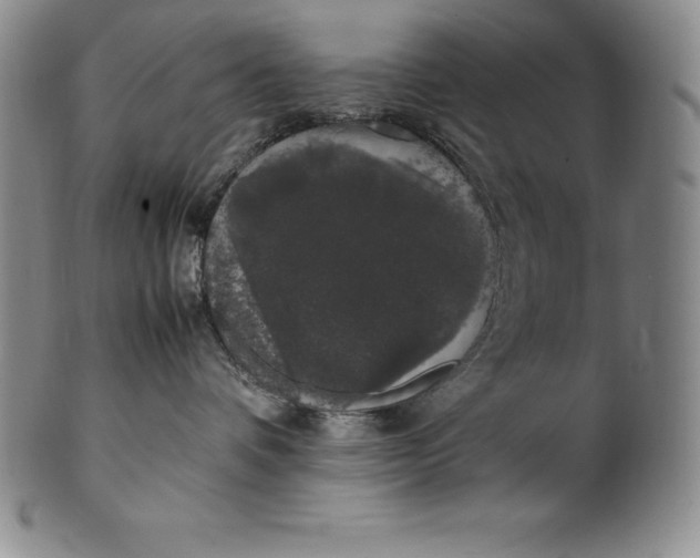 X0000100490336200806271242