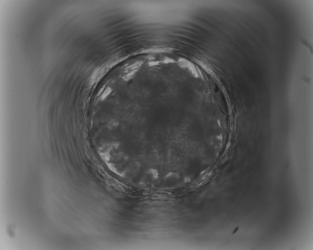 X0000100490337200806271242