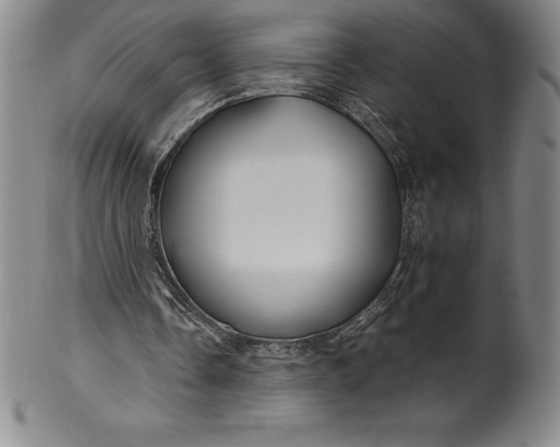 X0000100490338200806271242