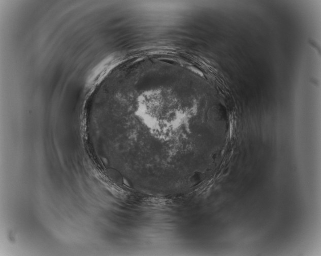 X0000100490339200806271242