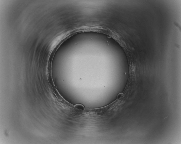 X0000100490340200806271242