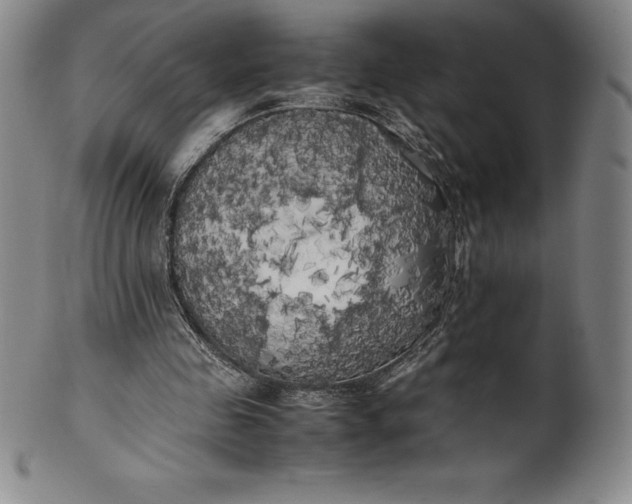 X0000100490341200806271242