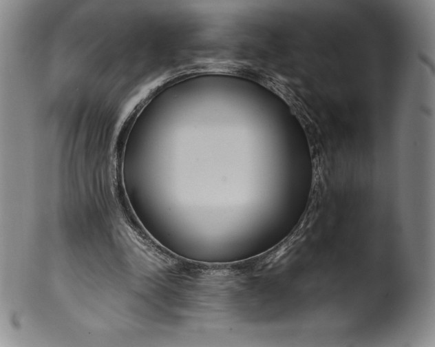 X0000100490342200806271242