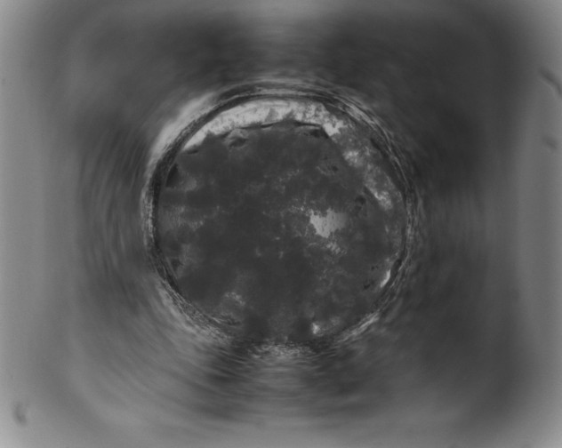 X0000100490343200806271242