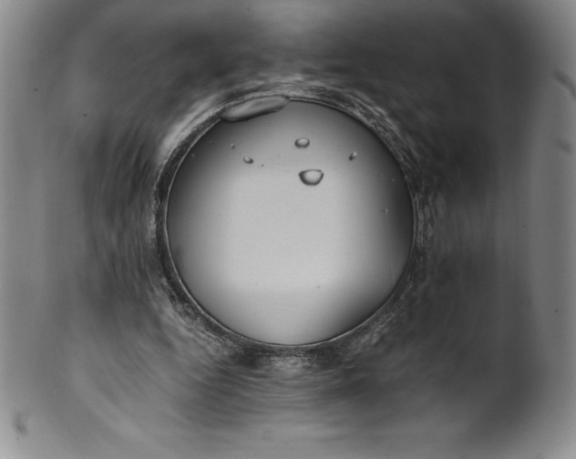 X0000100490344200806271242