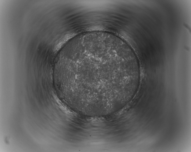 X0000100490345200806271242