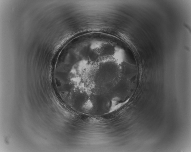 X0000100490346200806271242