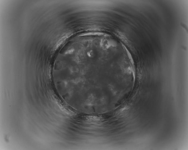 X0000100490347200806271242