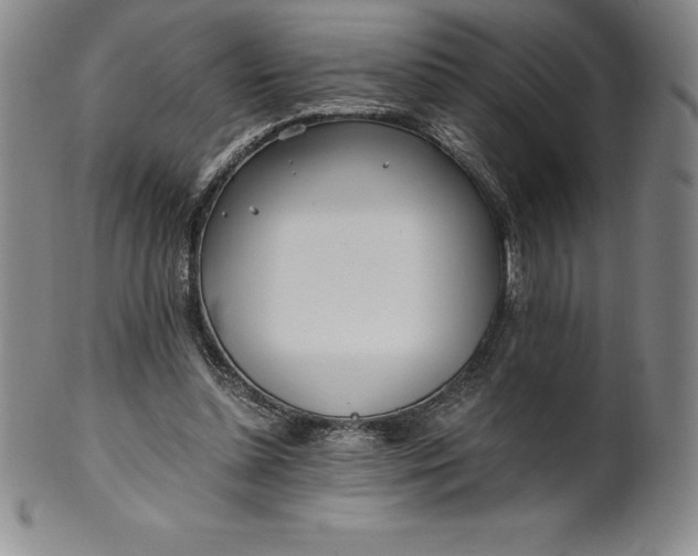 X0000100490348200806271242