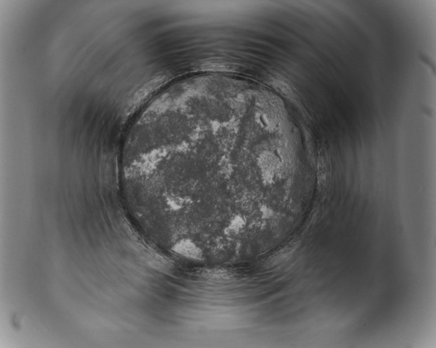 X0000100490349200806271242