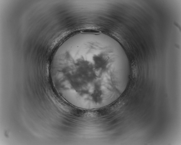 X0000100490350200806271242