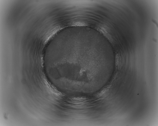 X0000100490351200806271242