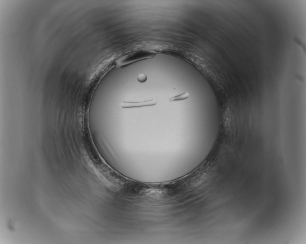 X0000100490352200806271242