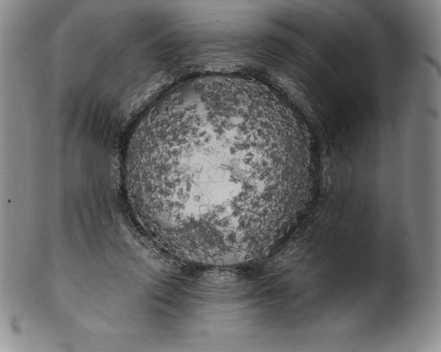 X0000100490354200806271242